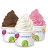 Сухая смесь для мягкого мороженого Icedream (в ассортименте)